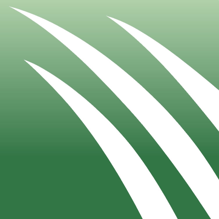 Commercial Artificial Turf Installation